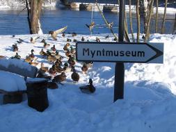 Avesta myntmässa 14 februari 2009